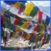 Prayer flags in Ladakh.
