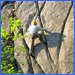 Intro to Outdoor Rock Climbing 3