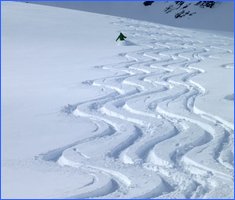 Powder skiing in the Ortler region of Italy