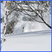 Japan Guided Ski Tours 13