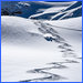 Ortler Ski Guides 14