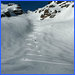 Burnie Glacier Ski 5