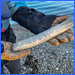 Svalbard Ski & Sail 30