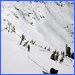 Icicle Creek Ski Tours with the Northwest Mountain School.