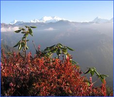 Sikkim Trek 1