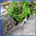 Intro to Outdoor Rock Climbing 7